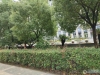 新鸿基大厦实景图，拍摄于2024/11/28