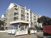 东莱东景花园实景图，拍摄于2024/11/28