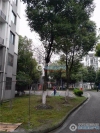 钢村嘉园实景图，拍摄于2024/11/28