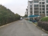 双龙花园西区实景图，拍摄于2024/11/28