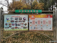 大南花苑实景图，拍摄于2024/11/28