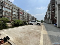 大南花苑实景图，拍摄于2024/11/28
