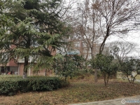 大南花苑实景图，拍摄于2024/11/28