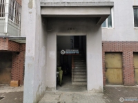 大南花苑实景图，拍摄于2024/11/28