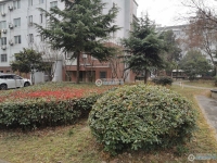 大南花苑实景图，拍摄于2024/11/28