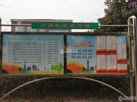 大南花苑实景图，拍摄于2024/11/28
