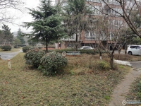 大南花苑实景图，拍摄于2024/11/28