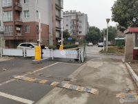 大南花苑实景图，拍摄于2024/11/28