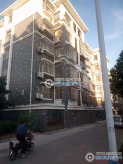 �Ĳ�С�����