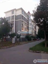 文昌小区实景图，拍摄于2024/11/28