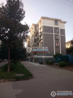 �Ĳ�С�����