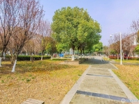 文昌小区实景图，拍摄于2024/11/28