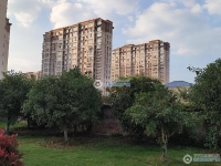 文昌小区实景图，拍摄于2024/11/28