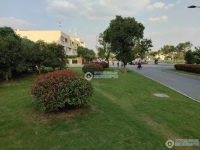 文昌小区实景图，拍摄于2024/11/28