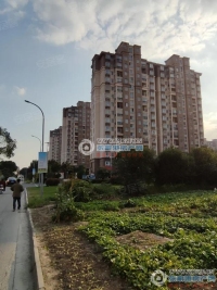 文昌小区实景图，拍摄于2024/11/28