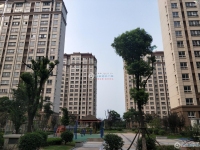 文昌小区实景图，拍摄于2024/11/28
