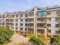 文昌小区实景图，拍摄于2024/11/28