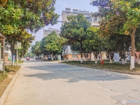 文昌小区实景图，拍摄于2024/11/28