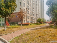 文昌小区实景图，拍摄于2024/11/28