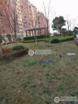 斯坦福德小镇实景图，拍摄于2024/11/28