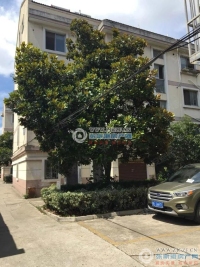 合兴泓南新村实景图，拍摄于2024/11/29