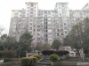 城中城1+1实景图，拍摄于2024/11/29