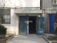 东莱新村实景图，拍摄于2024/11/29