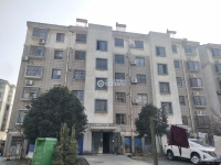 东莱新村实景图，拍摄于2024/11/29