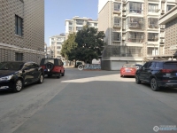东莱新村实景图，拍摄于2024/11/29