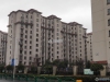 横泾花园实景图，拍摄于2024/11/29