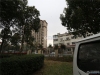 横泾花园实景图，拍摄于2024/11/29
