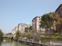 苏华新村实景图，拍摄于2024/12/2