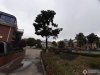 城西新村实景图，拍摄于2024/12/2