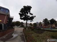 城西新村实景图，拍摄于2024/12/2