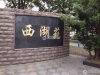 西湖苑实景图，拍摄于2024/12/2