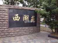 西湖苑实景图，拍摄于2024/12/2