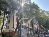 西湖苑实景图，拍摄于2024/12/2