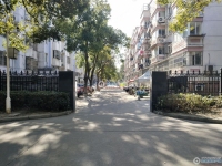西湖苑实景图，拍摄于2024/12/2
