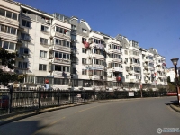 西湖苑实景图，拍摄于2024/12/2