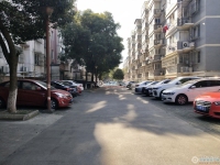 西湖苑实景图，拍摄于2024/12/2