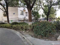 西湖苑实景图，拍摄于2024/12/2