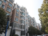万红五村实景图，拍摄于2024/12/2