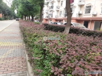 事和同大厦实景图，拍摄于2024/12/2