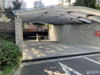 清水湾实景图，拍摄于2024/12/2