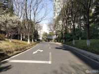 清水湾实景图，拍摄于2024/12/2