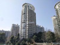 清水湾实景图，拍摄于2024/12/2