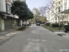 白鹿花苑实景图，拍摄于2024/12/2