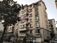 沙工新村实景图，拍摄于2024/12/4