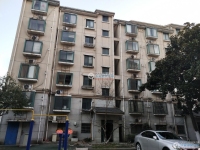 沙工新村实景图，拍摄于2024/12/4