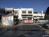 圣淘沙城市绿洲实景图，拍摄于2024/12/4